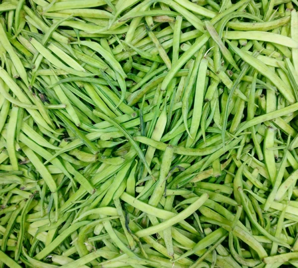 Guar Gum