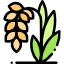 Soybean Meal