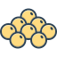 Rape Seed