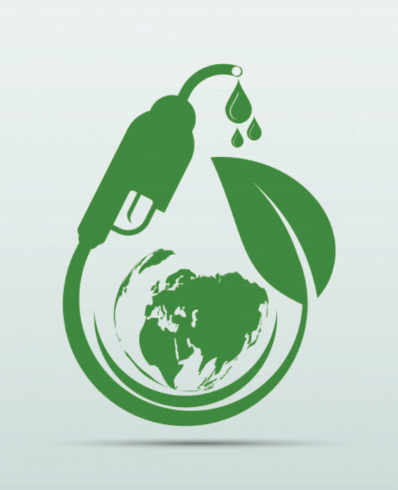R&D Biodiesel